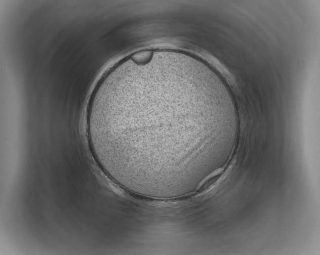 X0000111941240200908171250