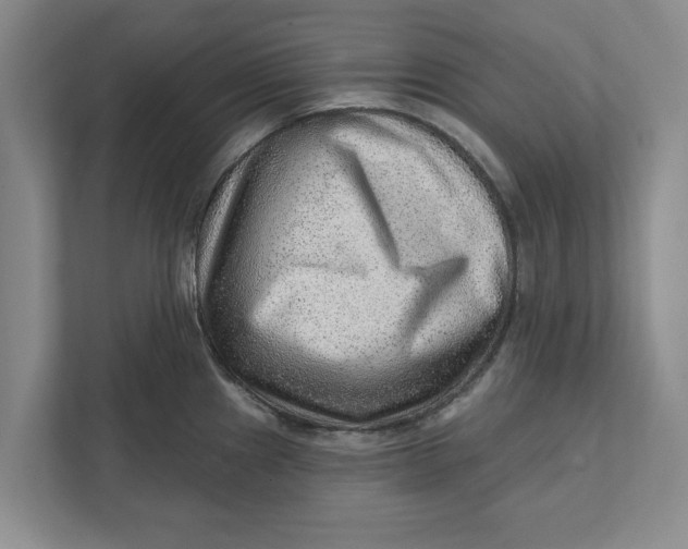 X0000111941241200908171250