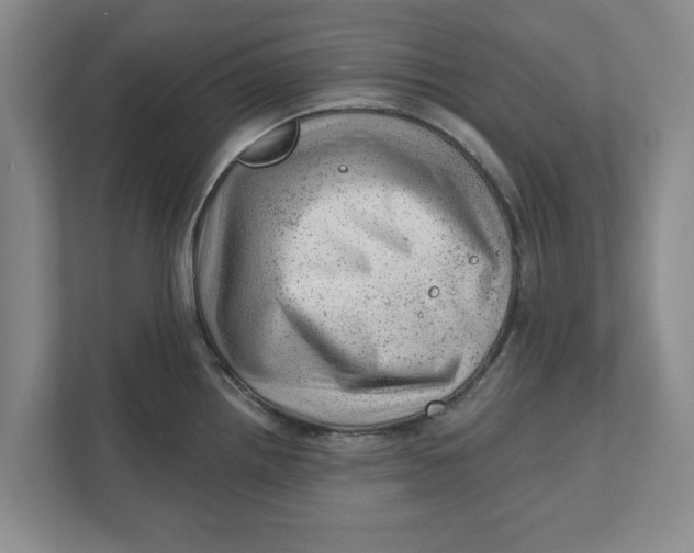 X0000111941242200908171250