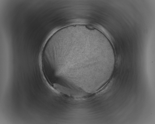 X0000111941243200908171250