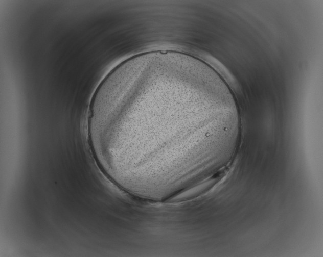 X0000111941244200908171250