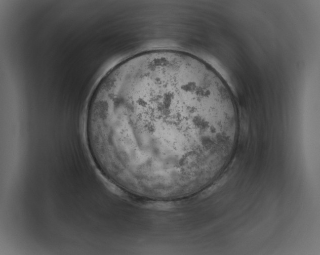 X0000111941245200908171250