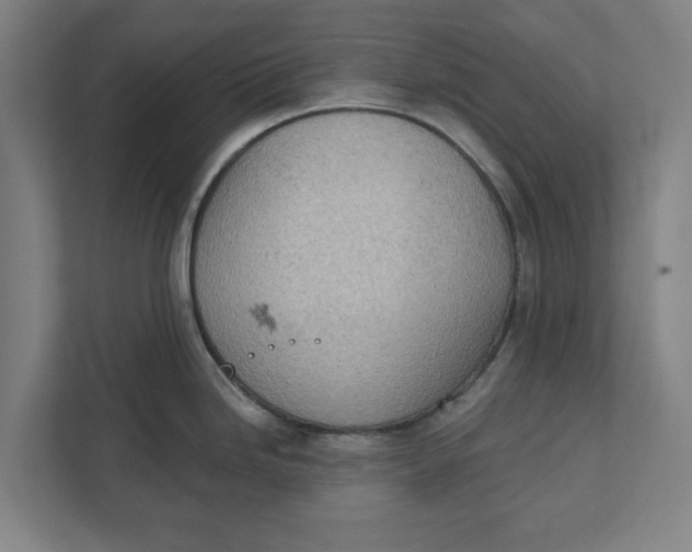 X0000111941246200908171250