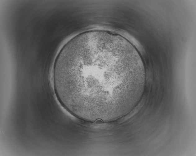 X0000111941247200908171250