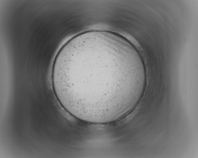 X0000111941248200908171250