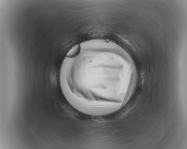 X0000111941250200908171250