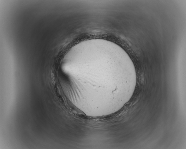 X0000111941253200908171250