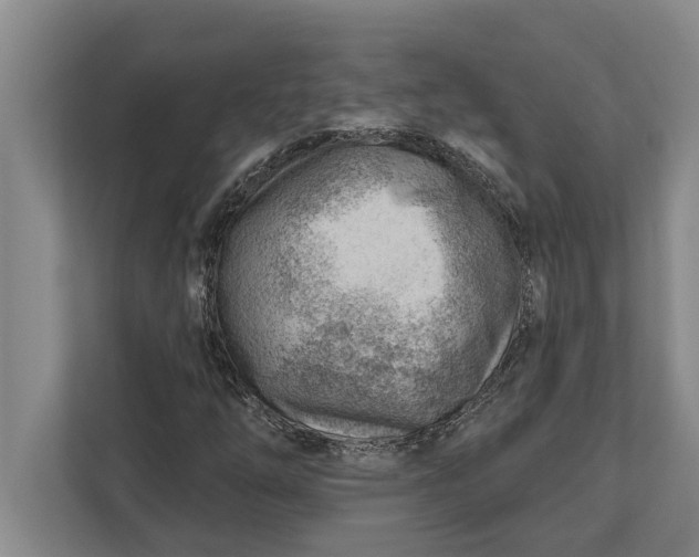 X0000111941254200908171250