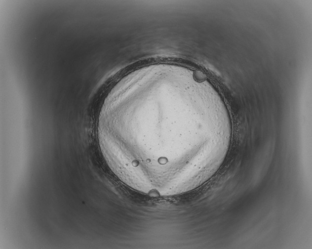 X0000111941255200908171250