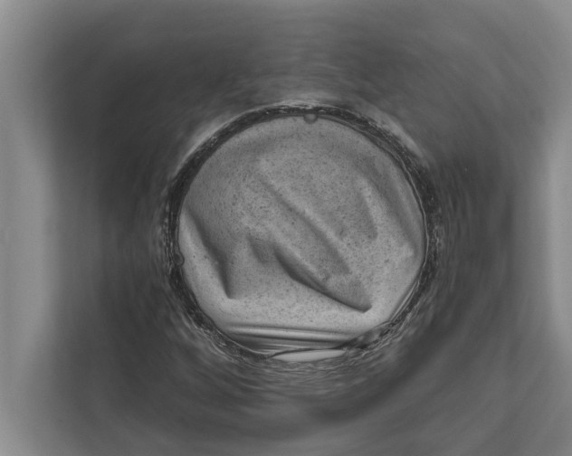 X0000111941256200908171250