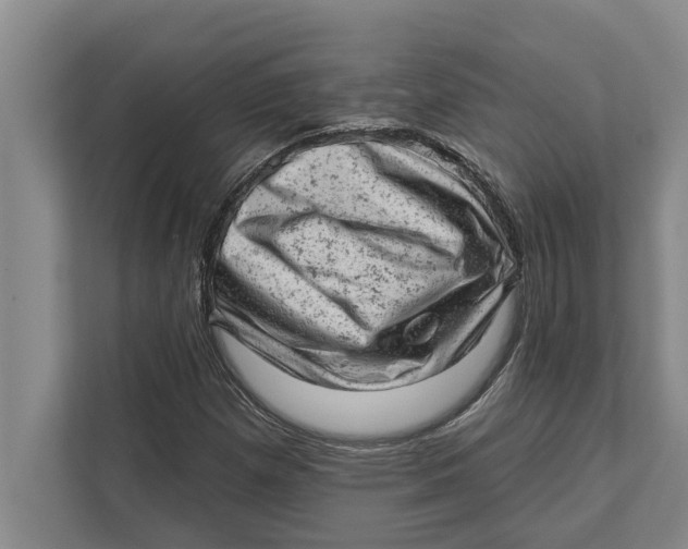 X0000111941257200908171250