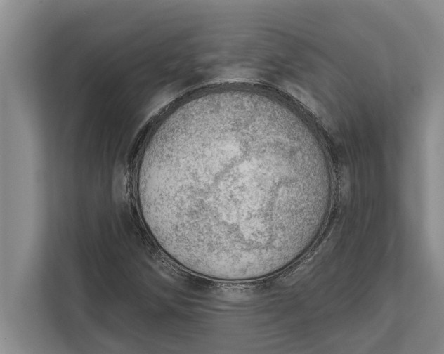 X0000111941258200908171250