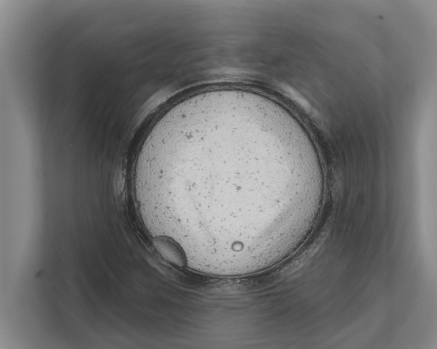 X0000111941259200908171250