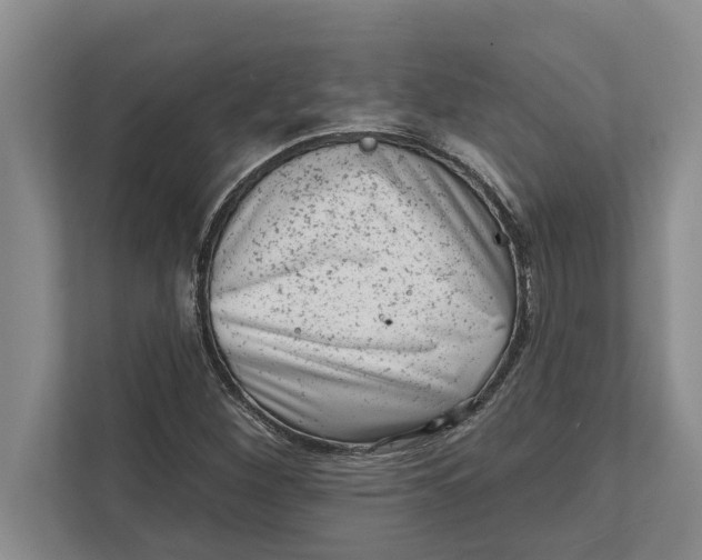 X0000111941260200908171250