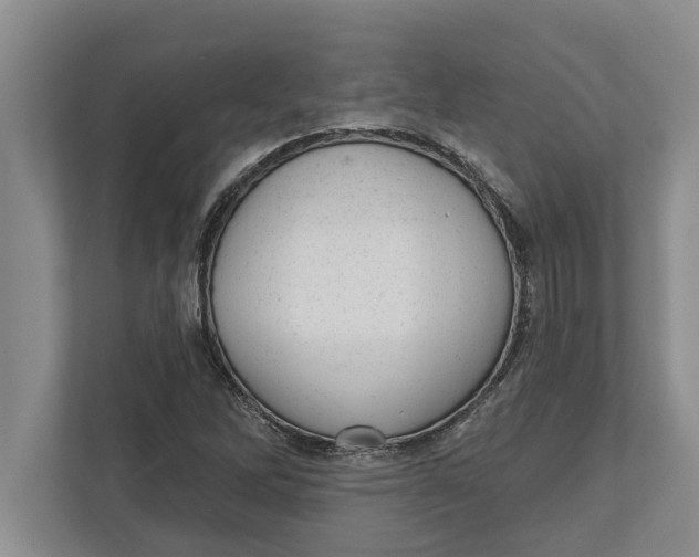 X0000111941262200908171250