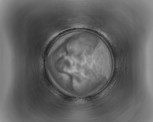 X0000111941263200908171250