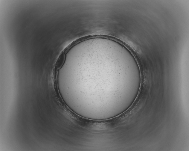 X0000111941264200908171250