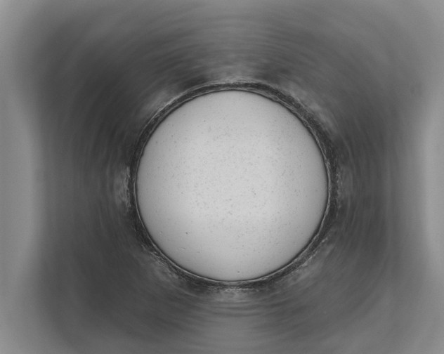 X0000111941265200908171250