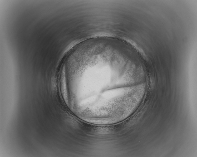 X0000111941266200908171250