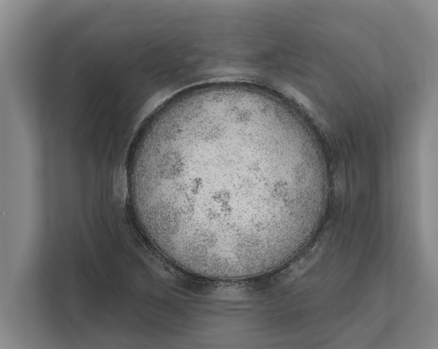 X0000111941267200908171250