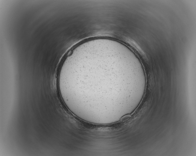 X0000111941268200908171250