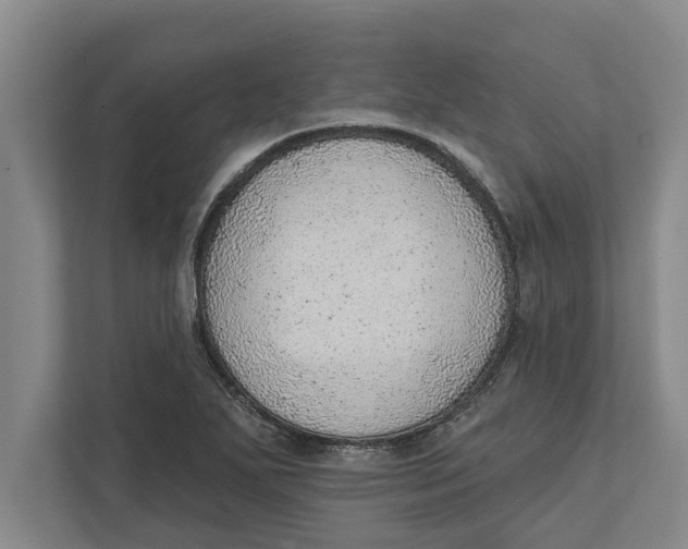 X0000111941271200908171250