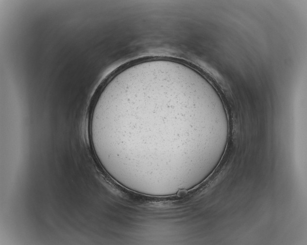 X0000111941272200908171249