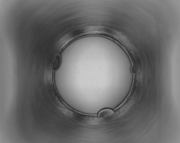 X0000111941273200908171249