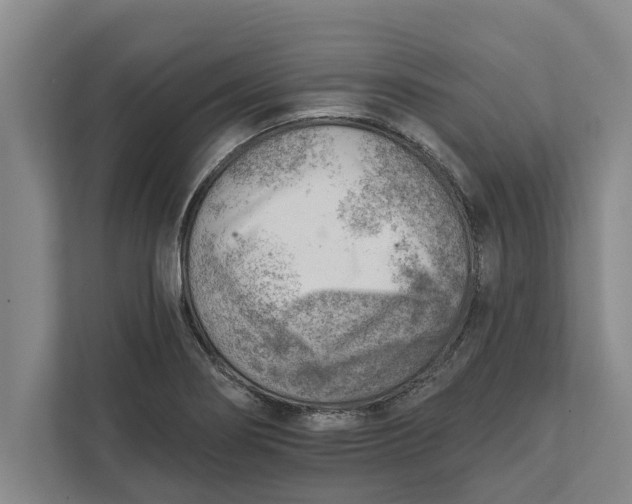 X0000111941274200908171249