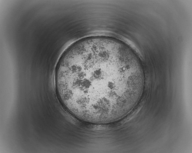 X0000111941275200908171249