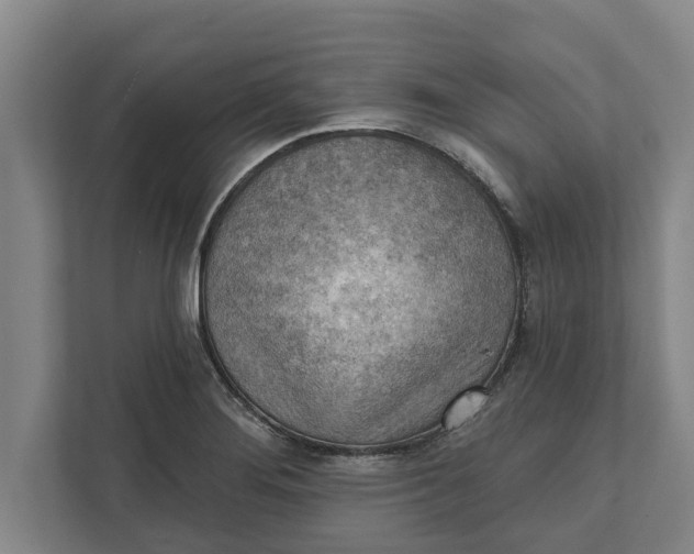 X0000111941276200908171249