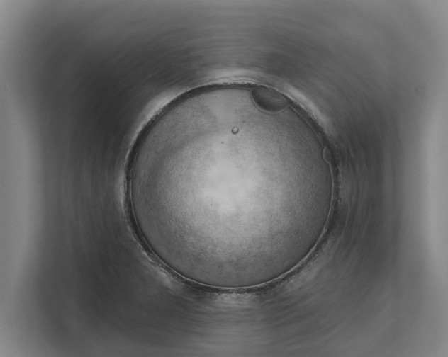 X0000111941277200908171249