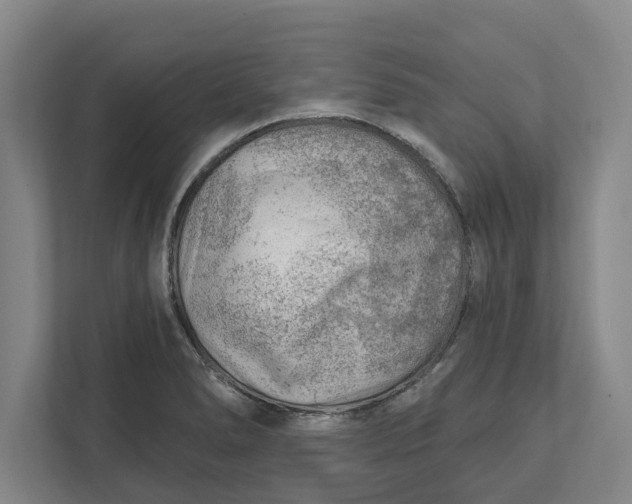 X0000111941278200908171249