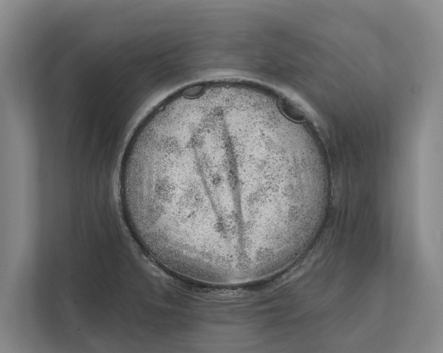 X0000111941279200908171249