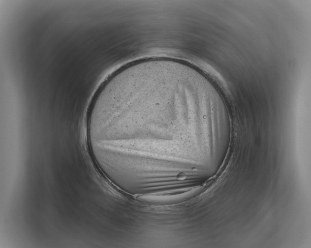 X0000111941280200908171249