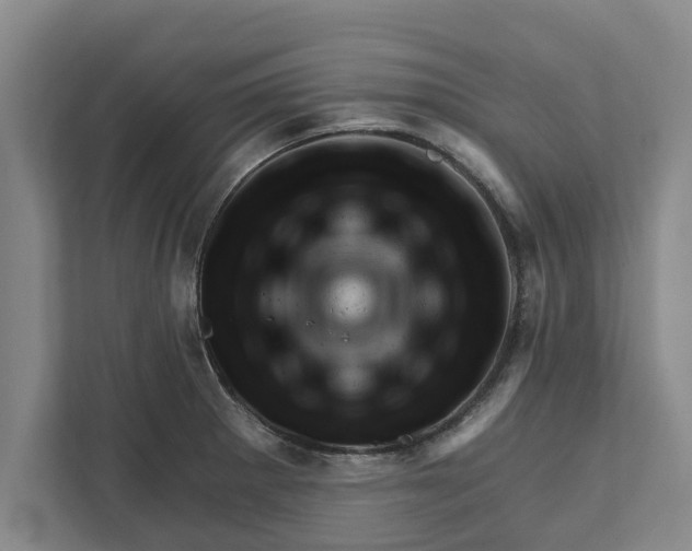 X0000111941281200908171249