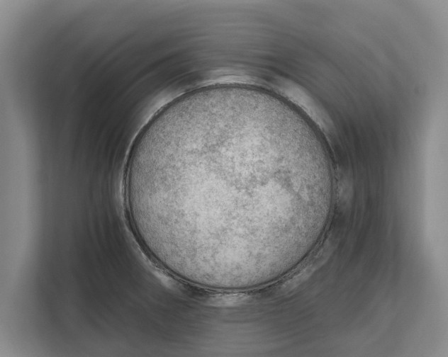 X0000111941282200908171249