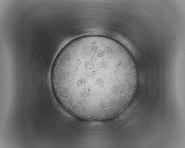 X0000111941283200908171249