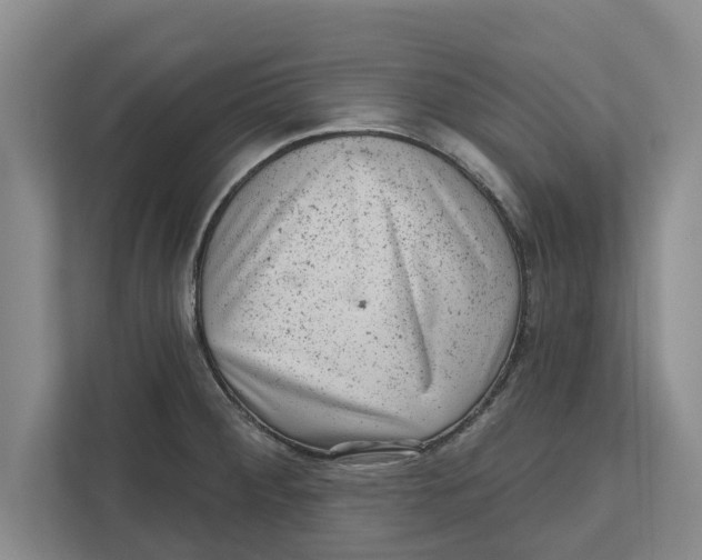 X0000111941284200908171249