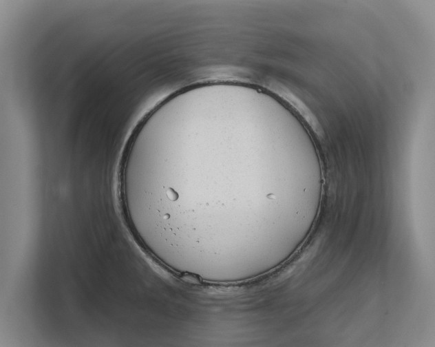 X0000111941285200908171249