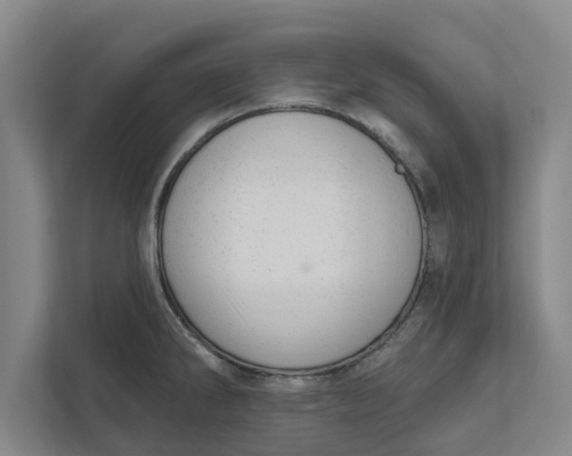 X0000111941286200908171249