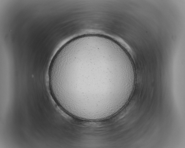 X0000111941287200908171249