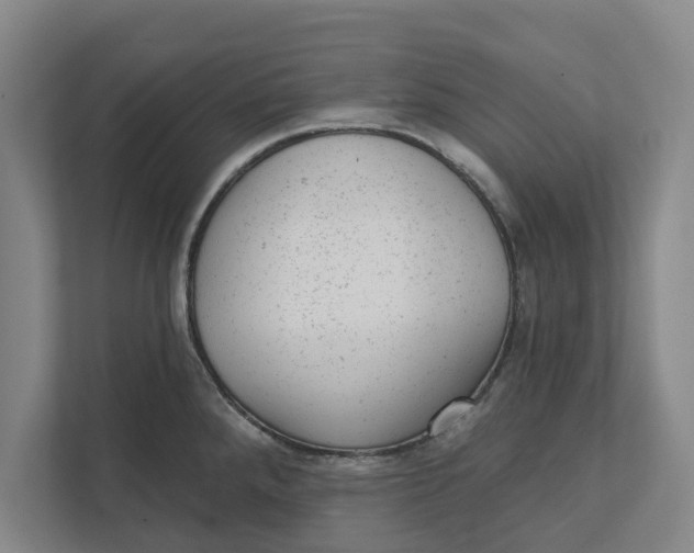 X0000111941288200908171249