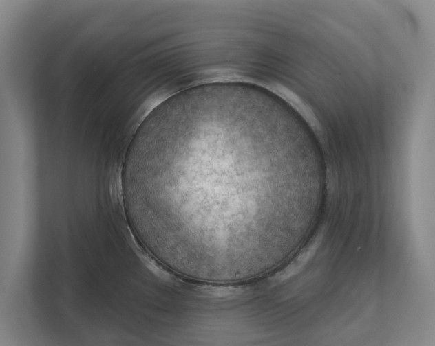 X0000111941289200908171249