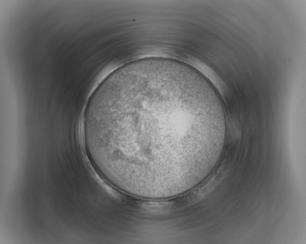 X0000111941290200908171249