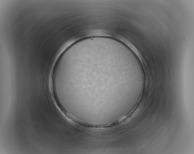 X0000111941293200908171249