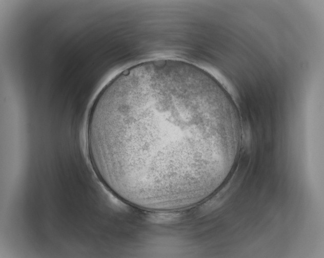 X0000111941294200908171249