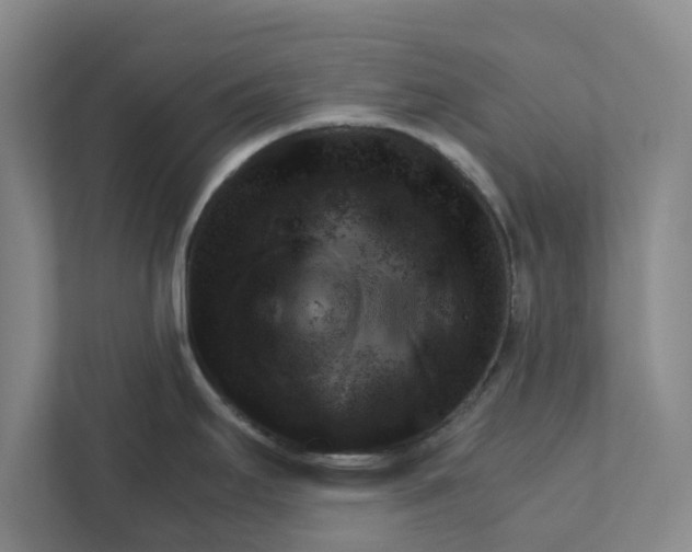 X0000111941295200908171249