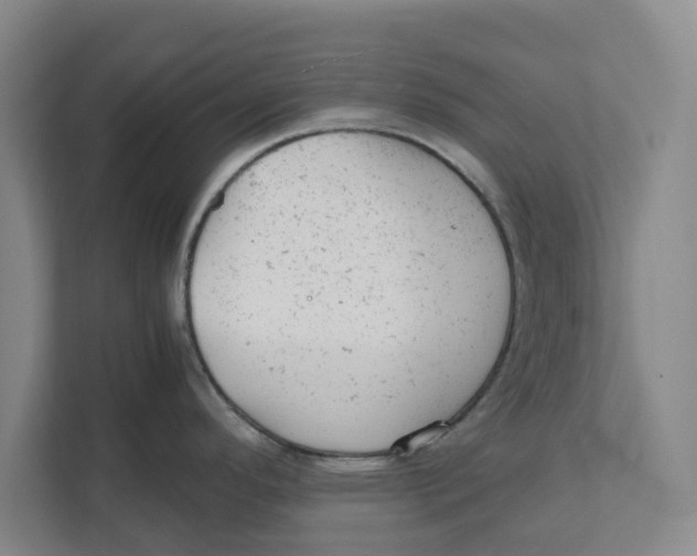 X0000111941296200908171249