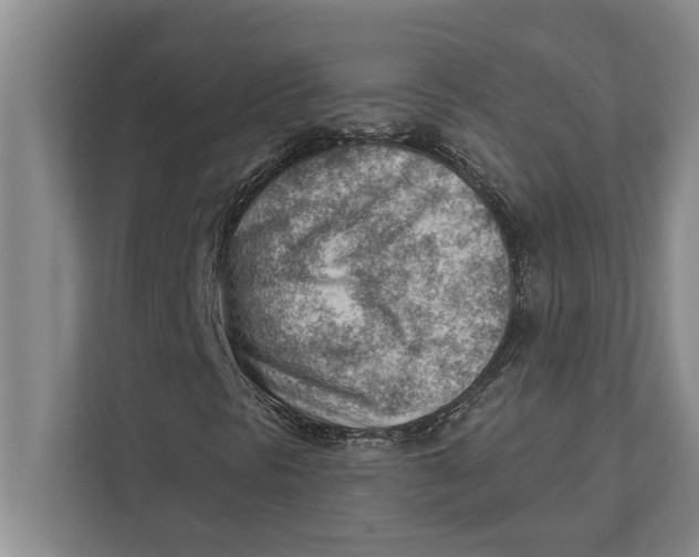 X0000111941297200908171249